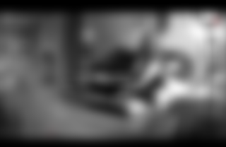 Matt & Siren Play While They Are Away!!